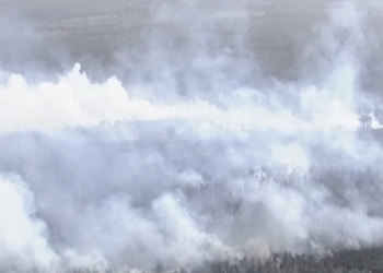 휴스턴 북부 샌 하신토 카운티 산불 빠르게 확산 … “강제 대피 명령”